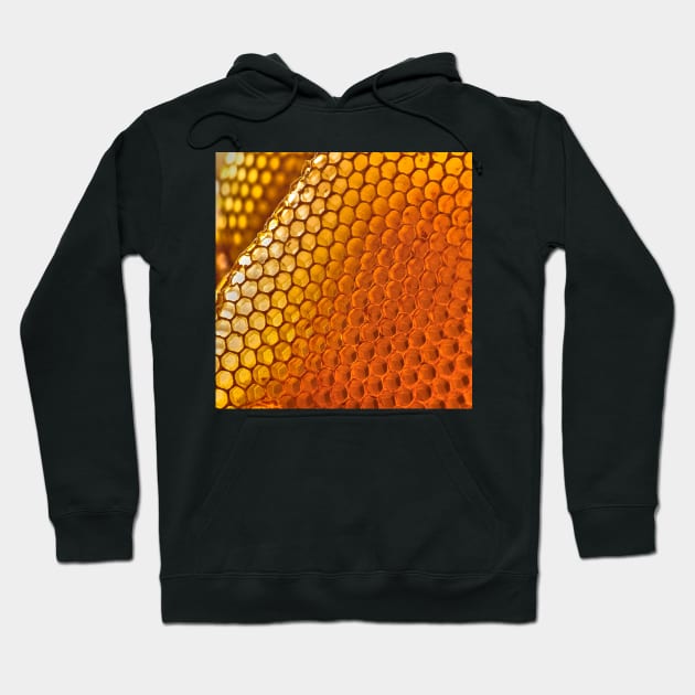 Honeycomb Hoodie by mbangert